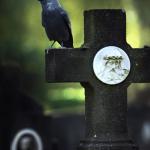 Знаете ли вы, что существуют определенные правила поведения на кладбище?